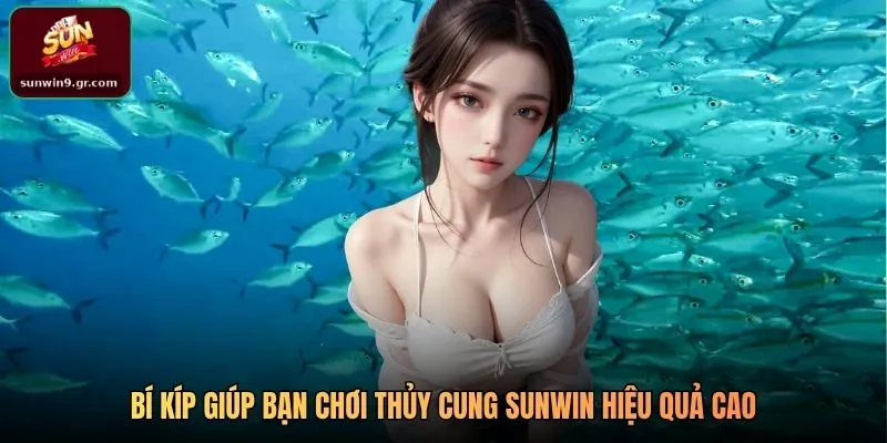 Bí kíp giúp bạn chơi Thủy Cung SUNWIN hiệu quả cao