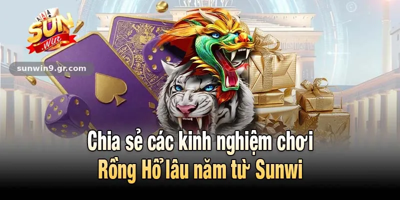 Chia sẻ các kinh nghiệm chơi Rồng Hổ lâu năm từ Sunwi